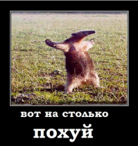 Проникновенные посты Собчак в Инстаграм оказались плагиатом