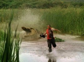 Хищники двух стихий