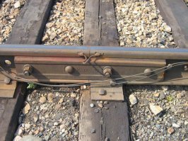 Клин Шавгулидзе