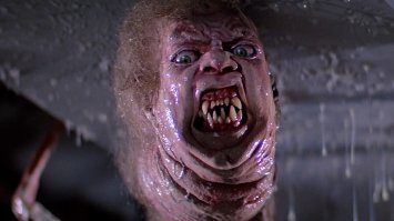 Коренное население Антарктиды