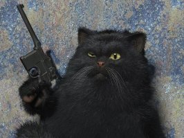 Черные коты против суеверий