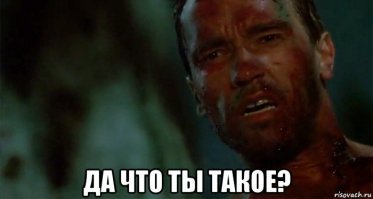Крупной кошке удалось пролезть под ничтожно узким зазором под дверью