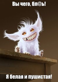 «А вам зачем знать, сколько мы получали и что сделали?»