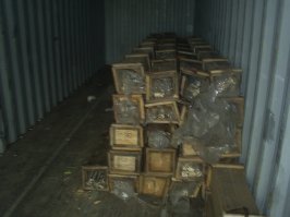 ....продам  тонн таких трубок