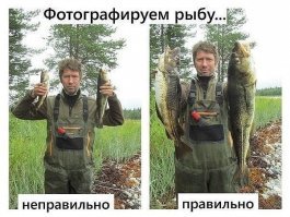 В Выборгском районе Ленинградской области мужчина выловил гигантскую щуку