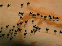 Пост о тенях, который оценят люди с разыгравшемся воображением