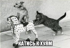 Всё понятно?