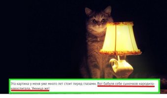 Это что за пятеро огромных долбайобов, которые не могут мать свою обеспечить?, что она аж вещи из дома продаёт!