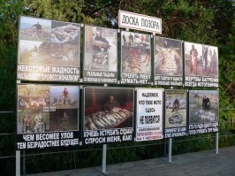 В Выборгском районе Ленинградской области мужчина выловил гигантскую щуку