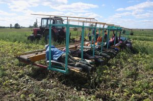 Машина для сбора урожая. Как собирают урожай