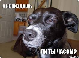 Как меня чуть не подставили