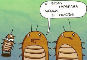 А вы знаете, зачем нужны тараканы?