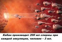 Пойду свои пересчитаю..