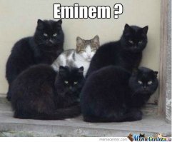 Генпрокурора просят прекратить все рэп-концерты в России