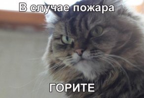 Картинки с надписями для настроения