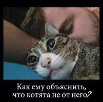Чужих детей не бывает: 30 трогательных кадров из жизни животных