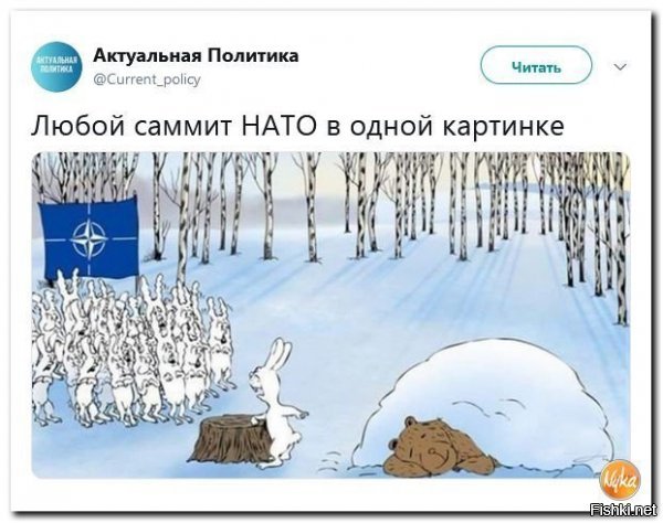 Политические скрины