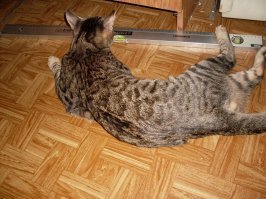 2012 против 2018: мои изменения за 6 лет