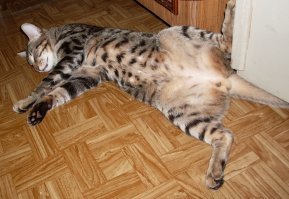 2012 против 2018: мои изменения за 6 лет