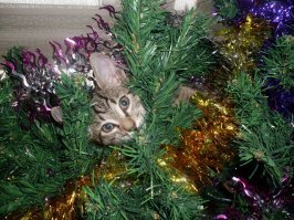 2012 против 2018: мои изменения за 6 лет