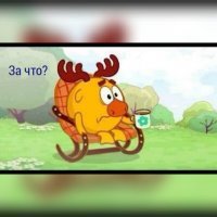 Шашлык из лосятины