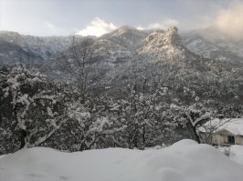 Осень в Ялте и не только