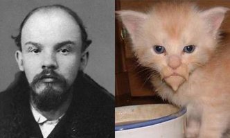 Скорее Ленин не кот.