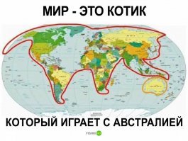 И страдает знаменитым североамериканским геморроем.