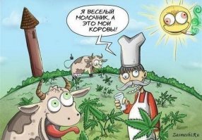 Молоко признали вредным для всех, кто страдает простудой