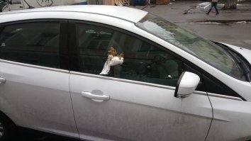 Подборка автомобильных приколов