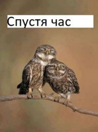 Что происходит в гараже, должно оставаться в гараже