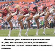 Пипидастр , еще несет гигиеническую функцию , это метелка для смахивания пыли.