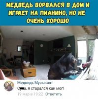 Прикольные комментарии и высказывания из сети  