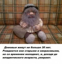Так чем его подкармливать ? У меня на кухне сушки  на столе в вазочке. А вдруг он уже малыш ? И сушки ему не по зубам ?