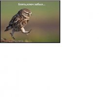 Что происходит в гараже, должно оставаться в гараже