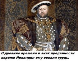 Какое отношение к Ирландии имеет Генрих VIII Английский?