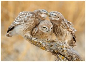 И ещё спустя некоторое время....