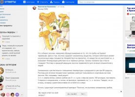 Не задумывались, почему лисички никогда не бывают червивыми?