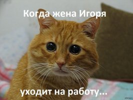 И-и-и-горь занимается рукоделием  :)