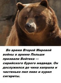 он ведь потом был эмблеммой соединения