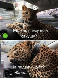 Картинки с надписями для настроения