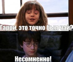 Поттероманы обнаружили грубую ошибку в новых «Фантастических тварях»