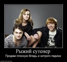 Поттероманы обнаружили грубую ошибку в новых «Фантастических тварях»