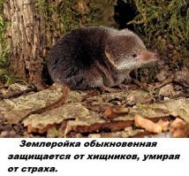 Картинки с надписями для настроения