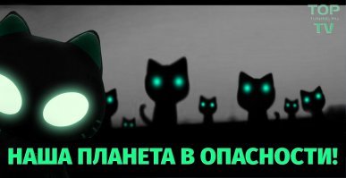 Маразмы больших кабинетов