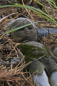 в лесу был найден труп куклы
ведется расследование