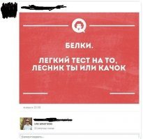 Прикольные комментарии и высказывания из сети