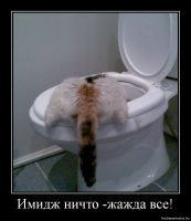  Так сильно этот пёс еще никогда не ошибался!