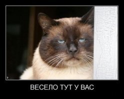 33 случая, когда мужчины доказали: чувство юмора - залог крепких отношений