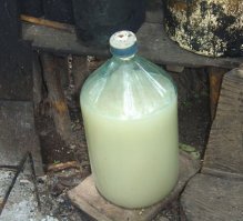 Бесполезные факты